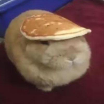 小易