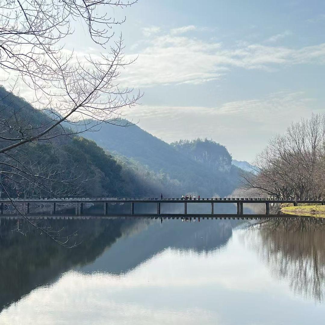 此号已注销