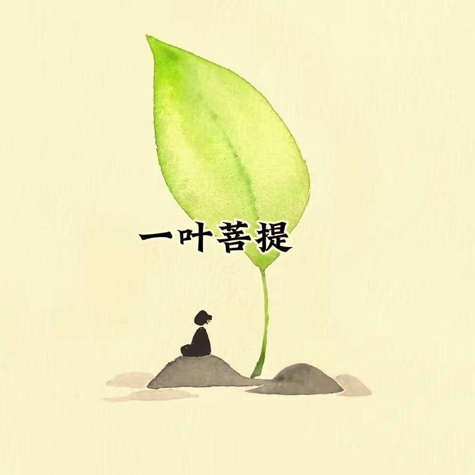 净彬