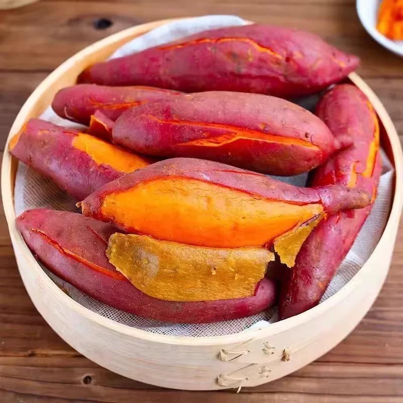 博逸生鲜红薯