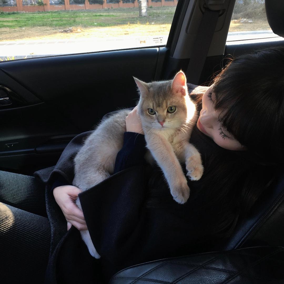 慢慢🧚🏻‍♀️