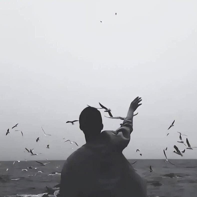 苍白
