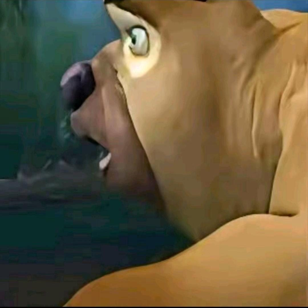 励志做个好男人