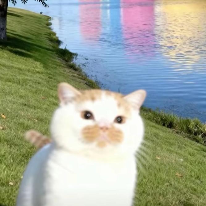 熊咆龙吟殷岩泉