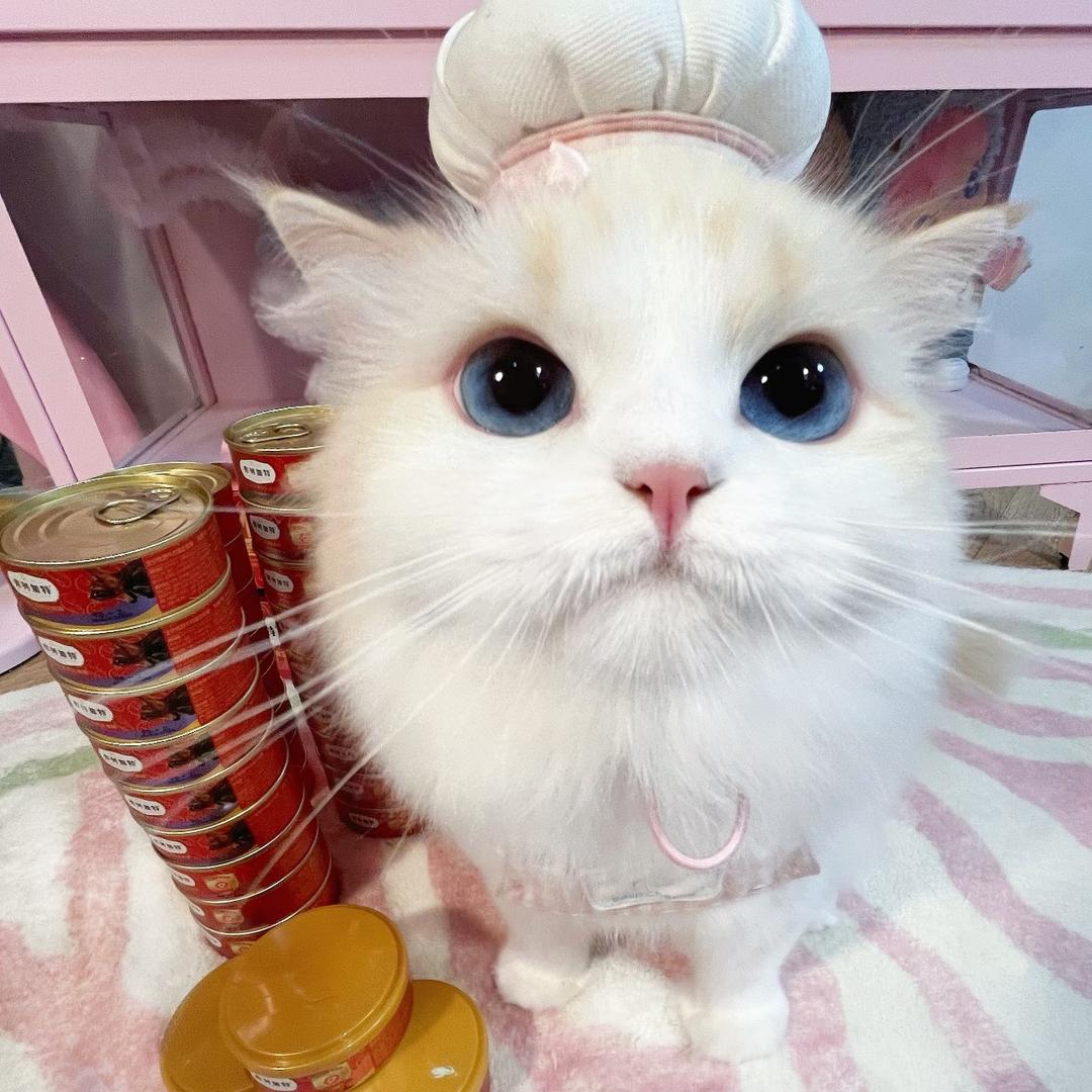 野猪大王