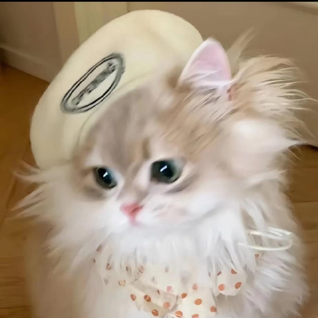 我不知道要怎样才能讨厌你