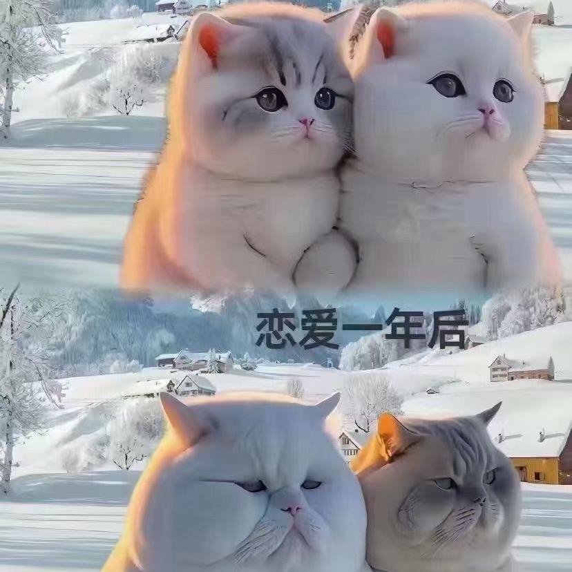 向往自由