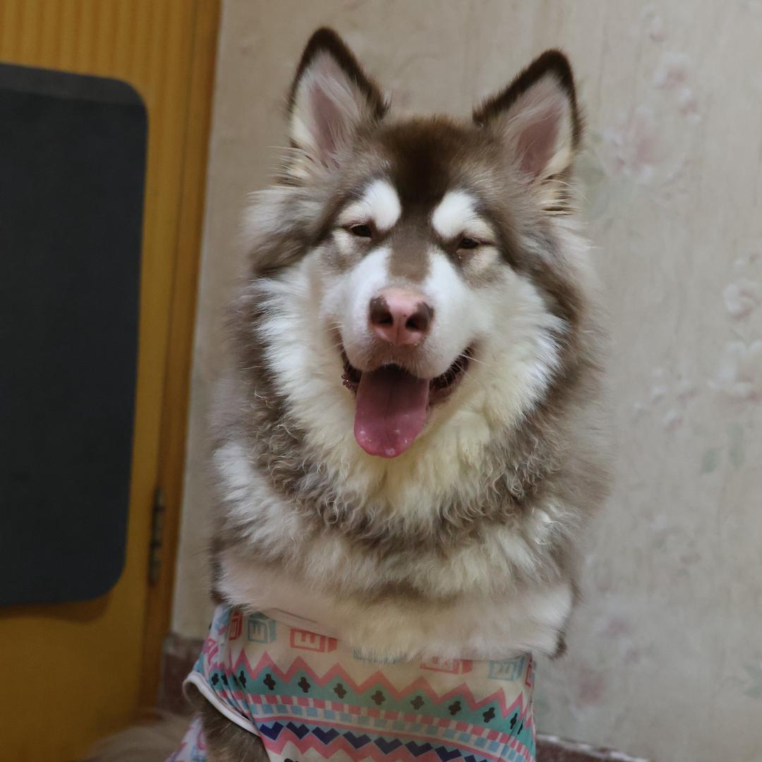 信小新同学