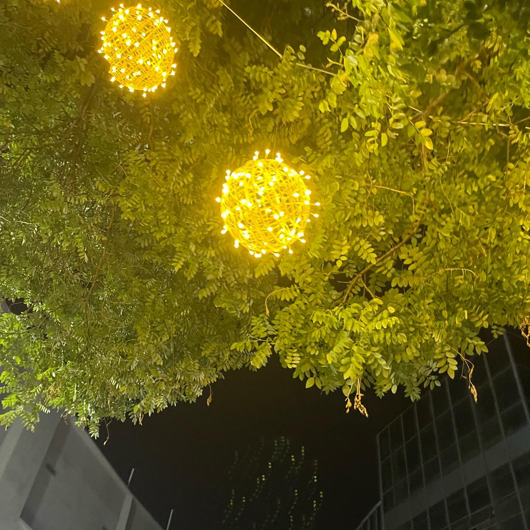 飞雨