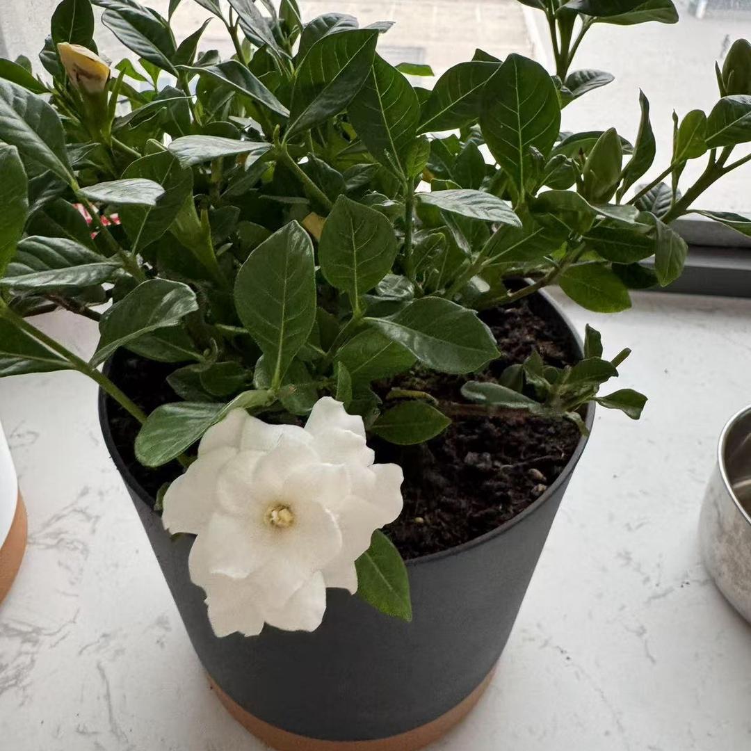 💞๓᭄未来可期♡ꦿ᭄💖