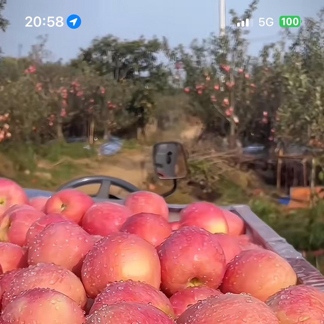 佬农阿爹特产店