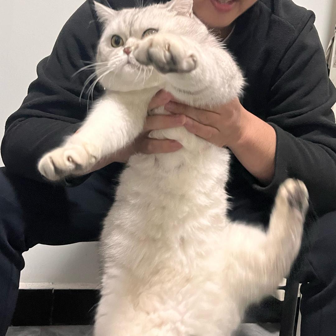 桃子🍑