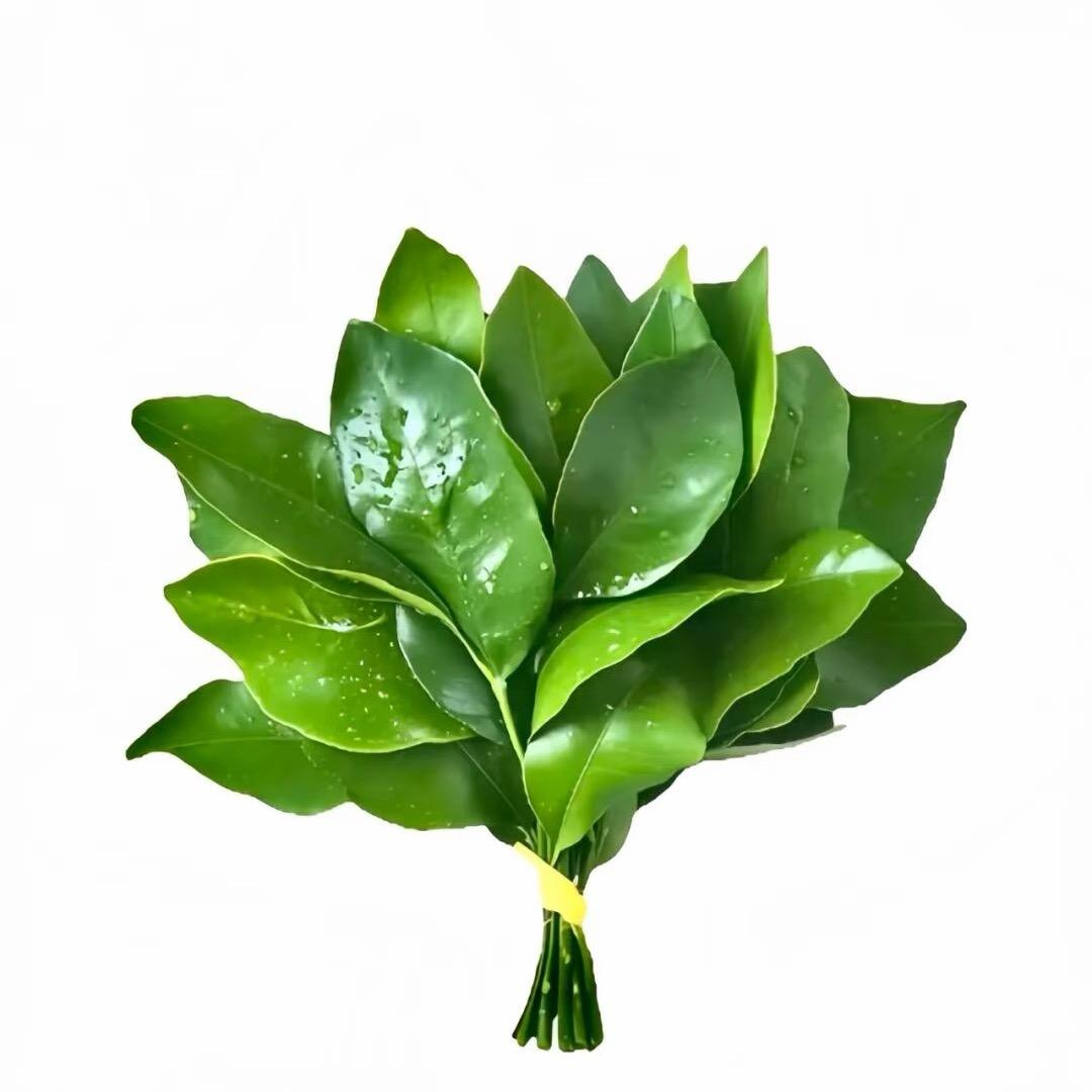 多吃香菜
