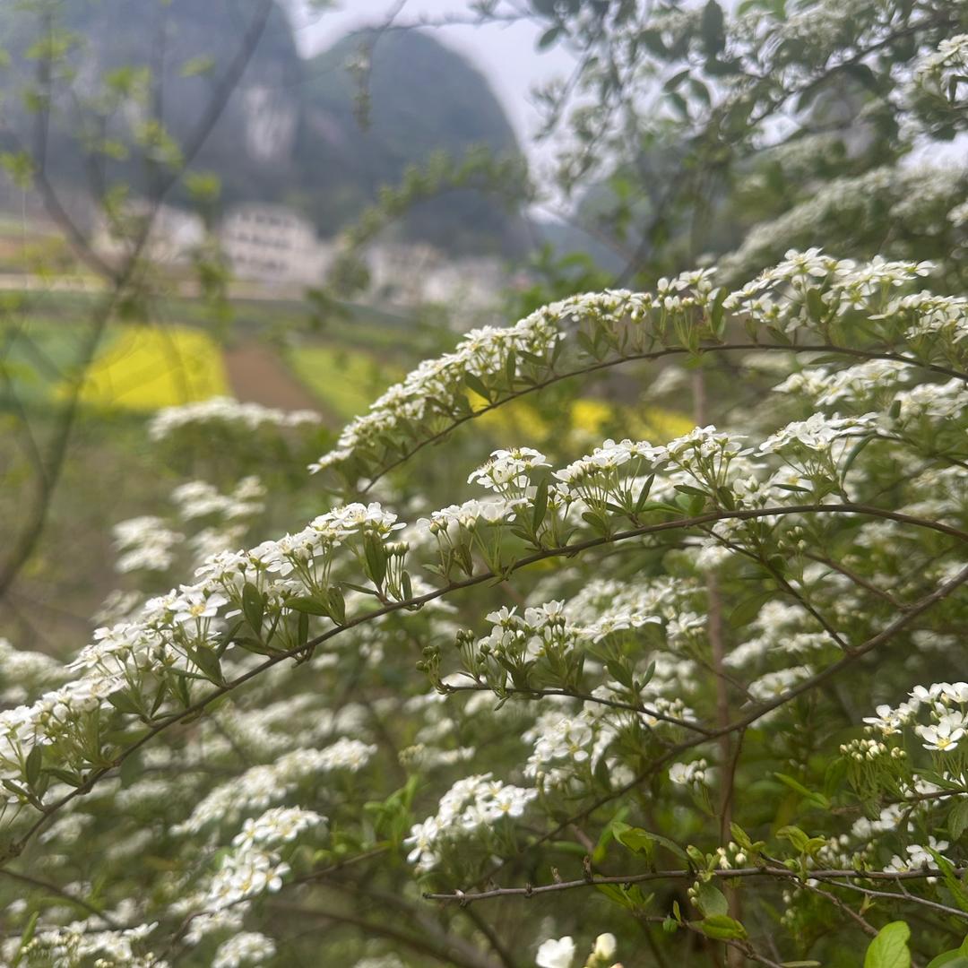 云欣苑建材家居