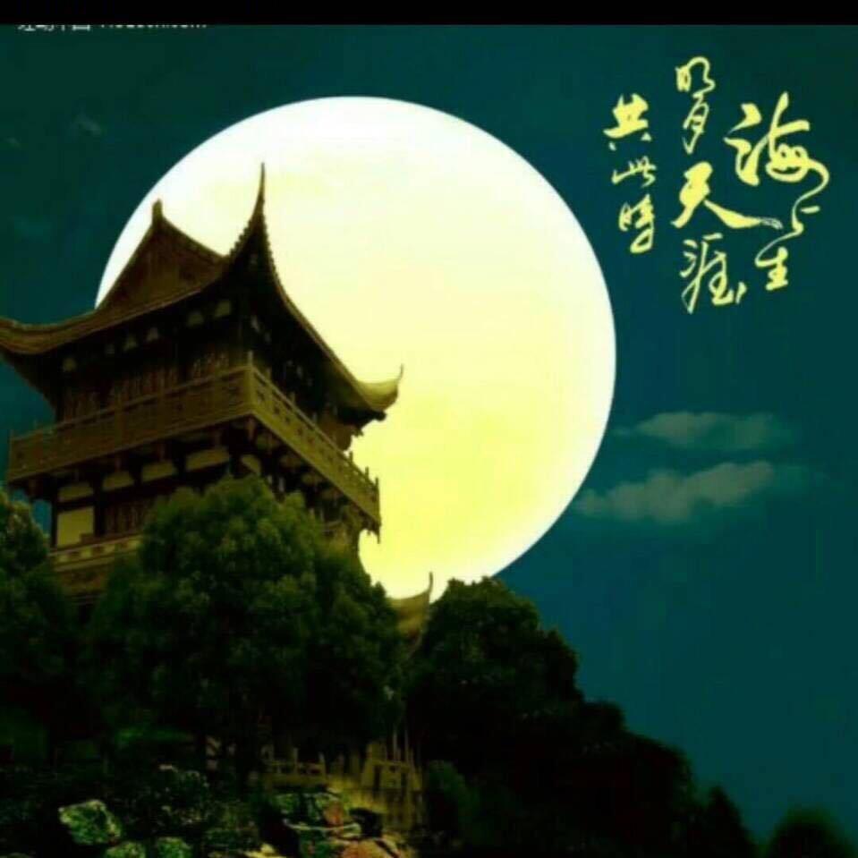 冷月寒宫
