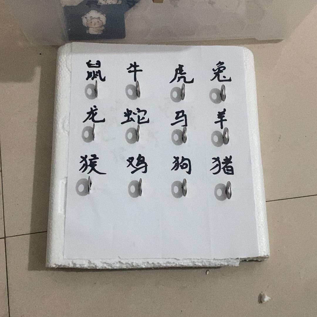 澳门张