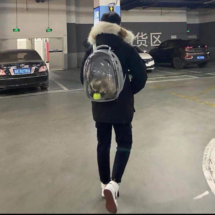 ζั͡ ั͡大 ั͡狗 ั͡✾