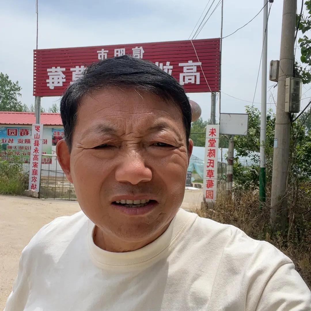 朱堂陈氏草莓园