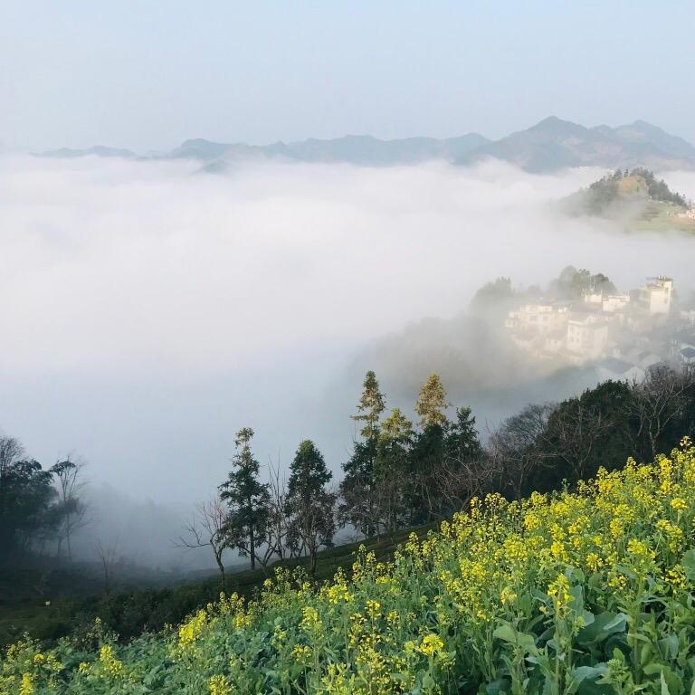 云海