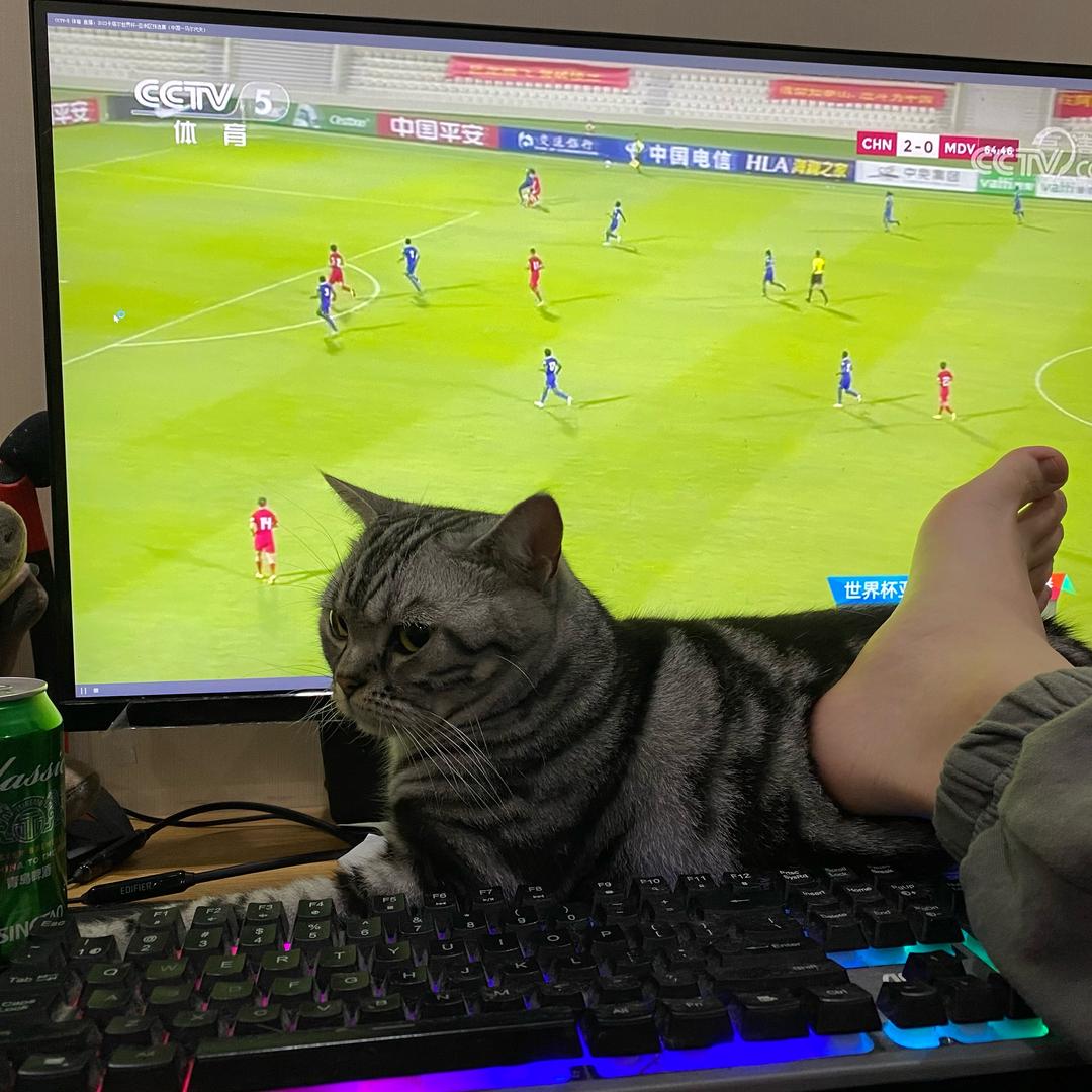 才不是吃货呢、