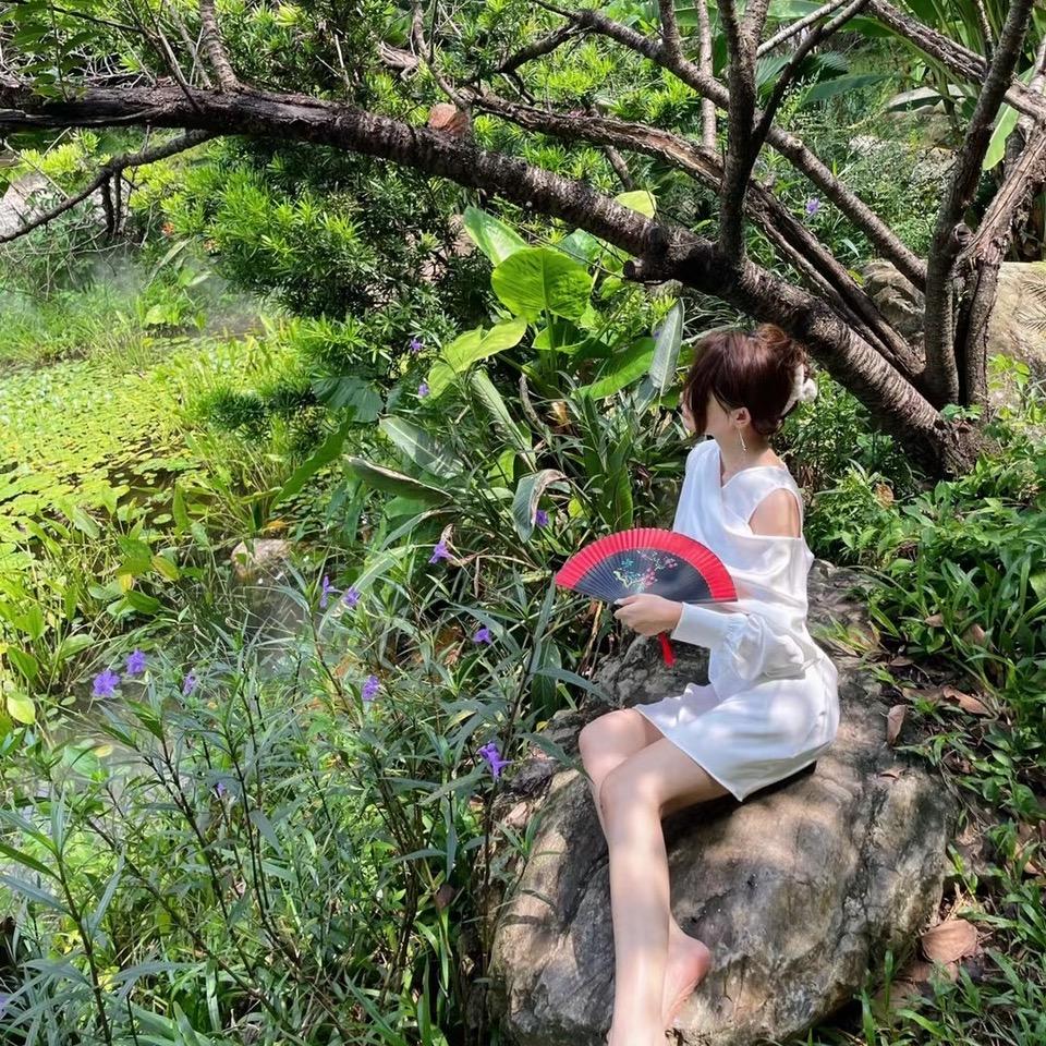 糖糖生活号
