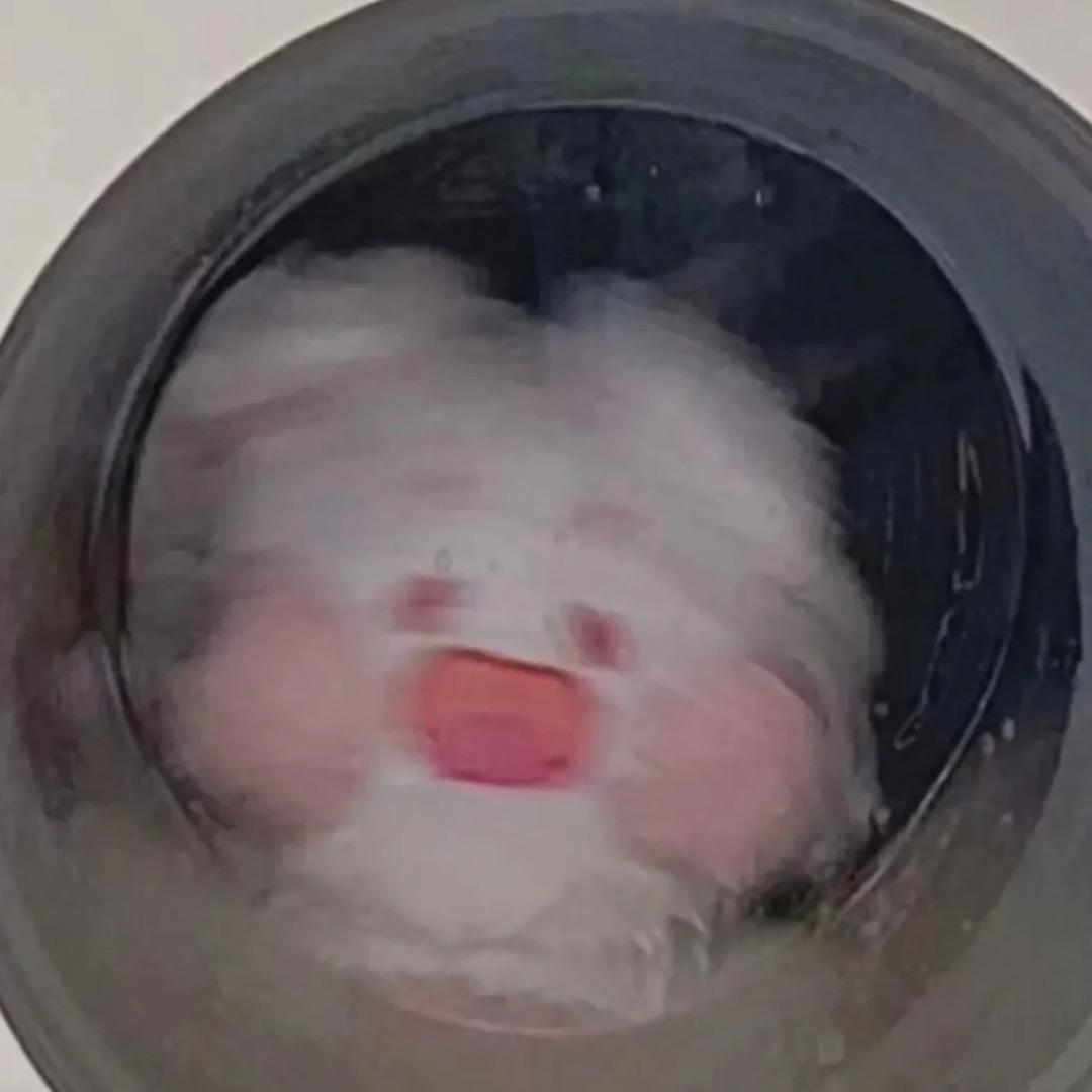 允允允好多的允