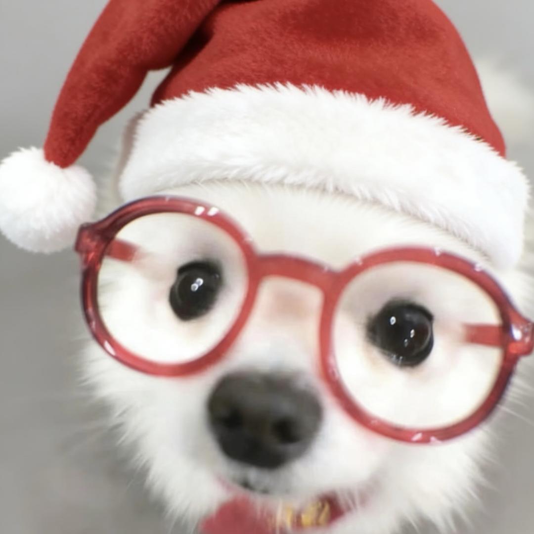 real__lyjjjjj（瓦版)