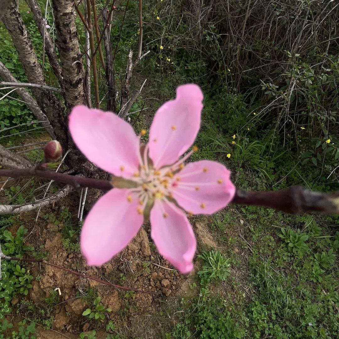 毫不费力