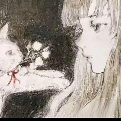 数码小猫