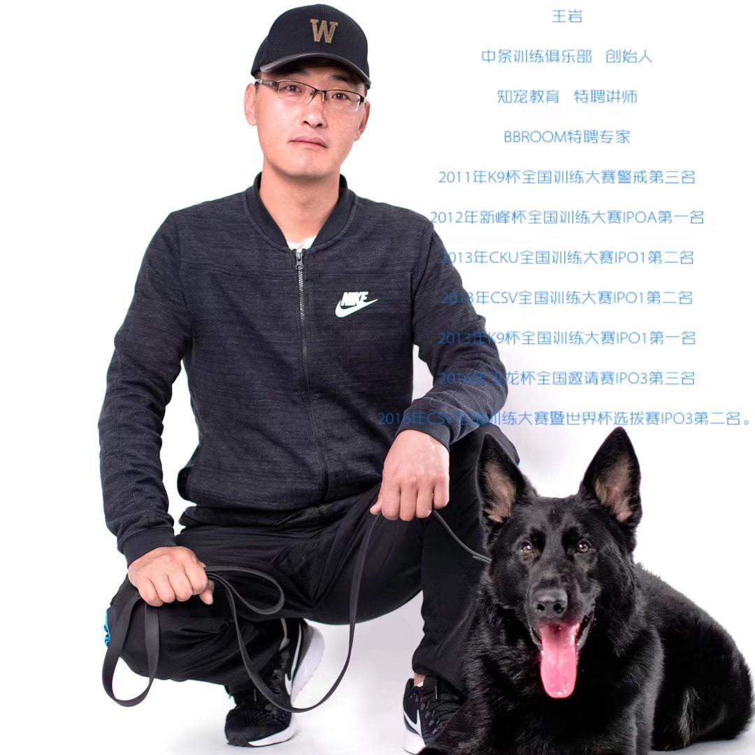 中条训犬