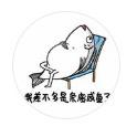 炖了一锅鱼