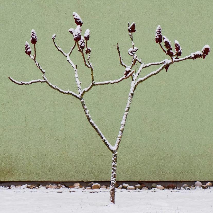 Jug（迅捷步法格雷福斯）