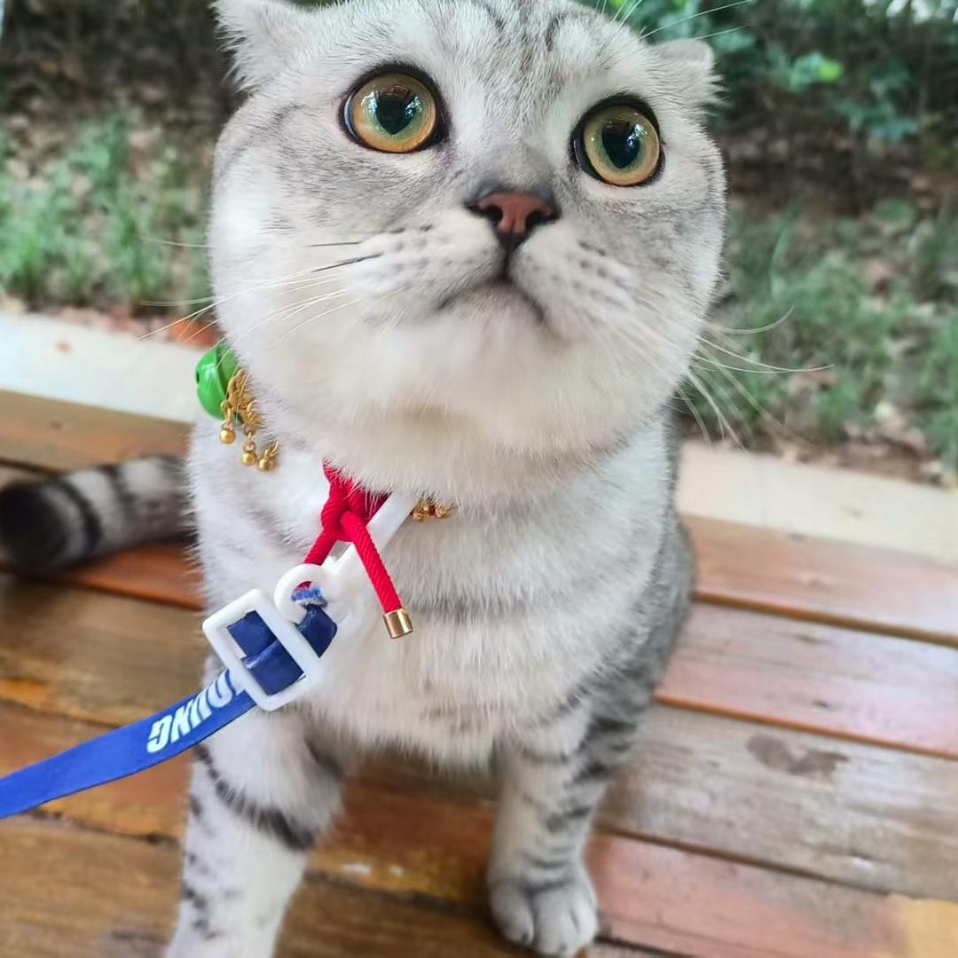 略略略