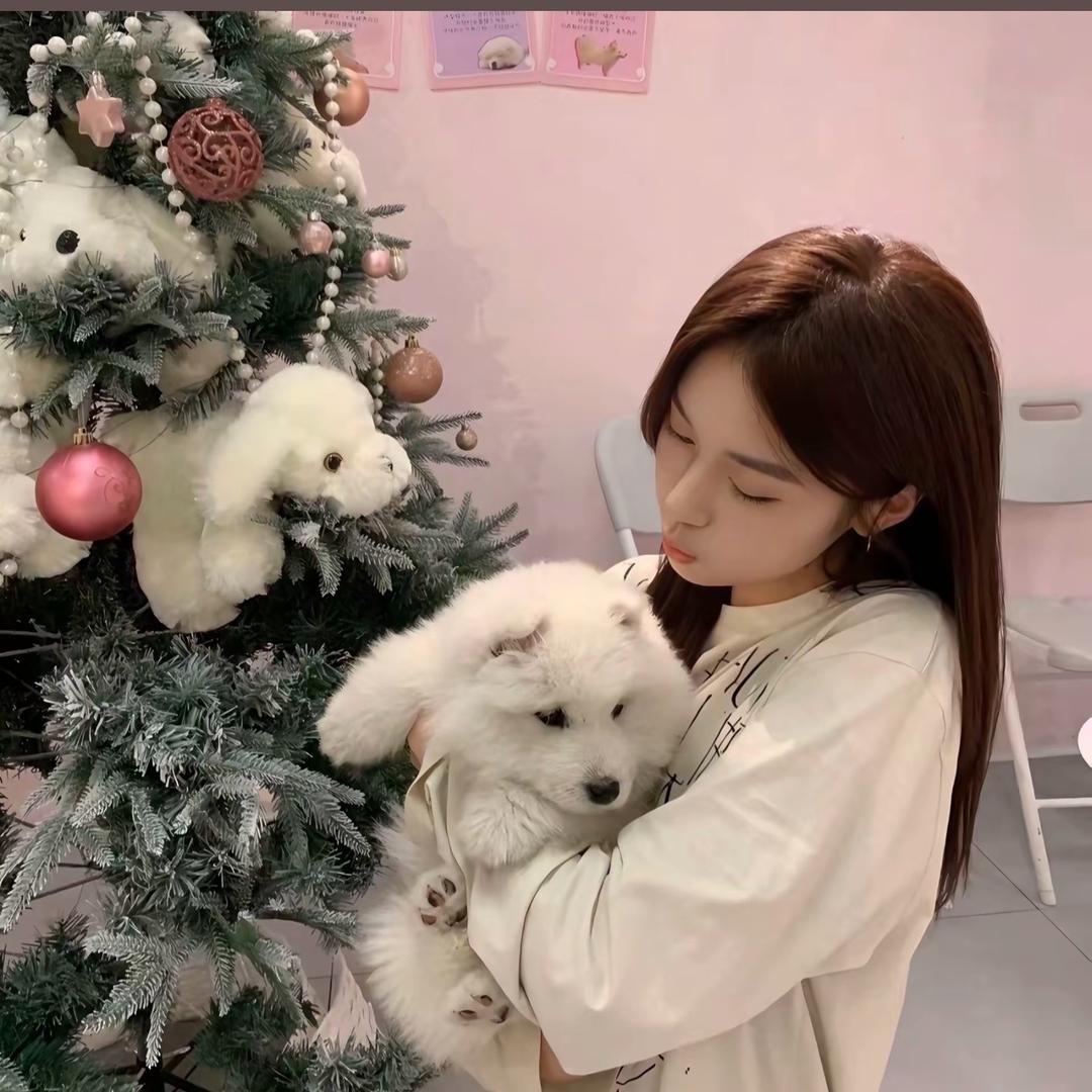 固原渔村黄大厨小马