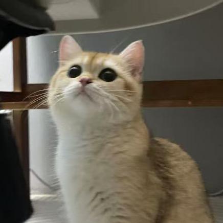 暴富