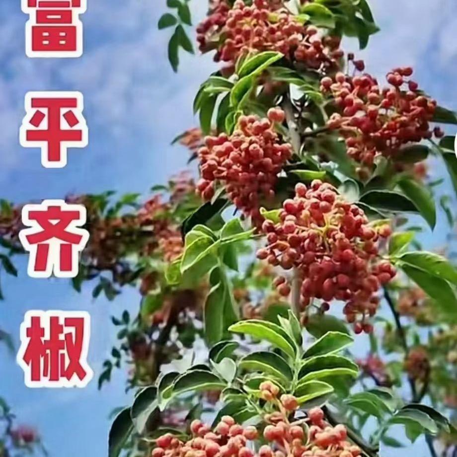 稷祐农业公司