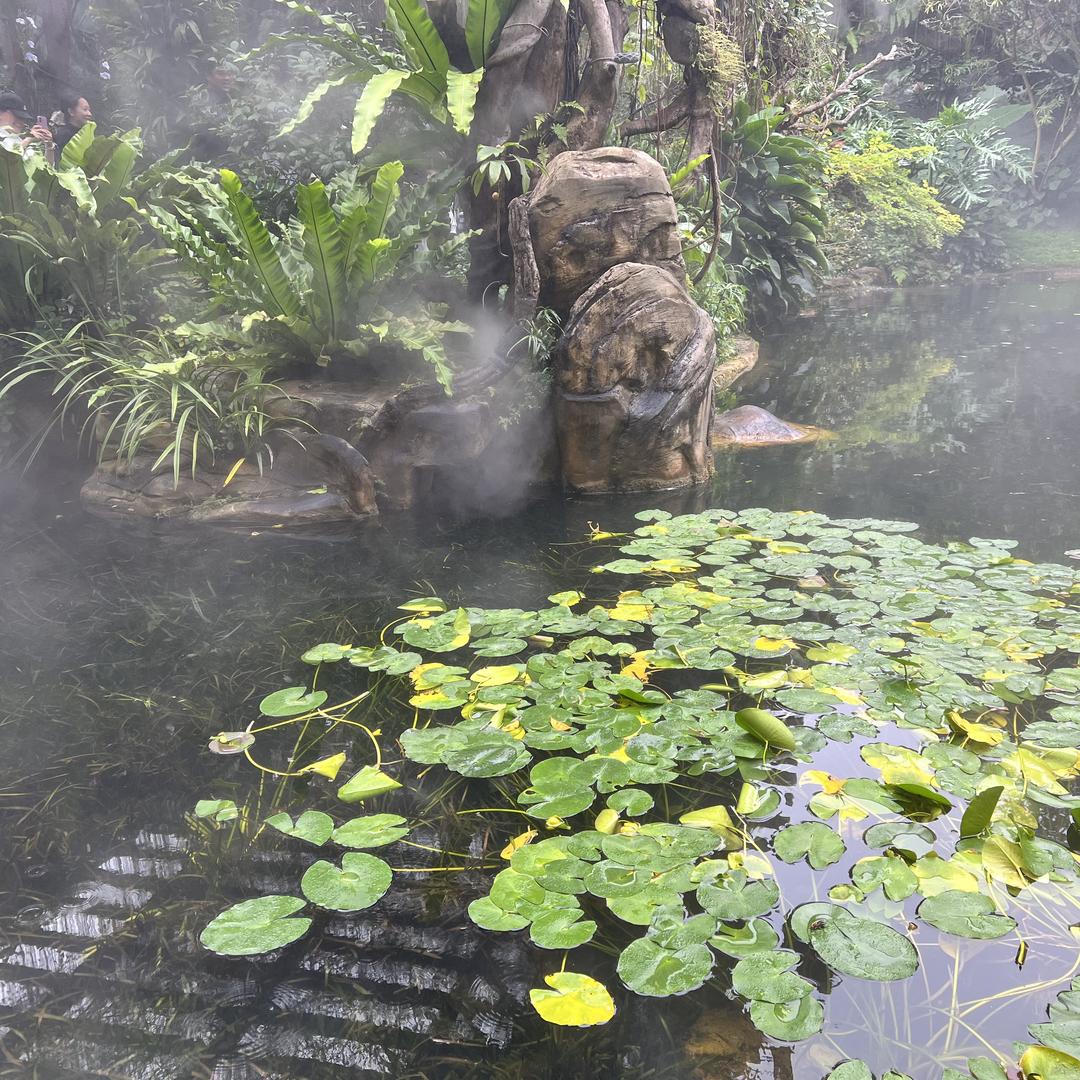 御果果树苗木专营店