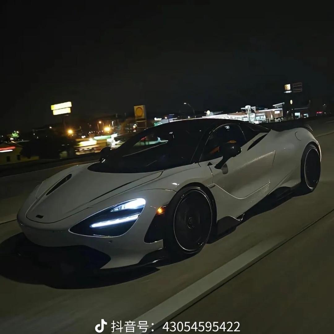 振麒轻奢高定