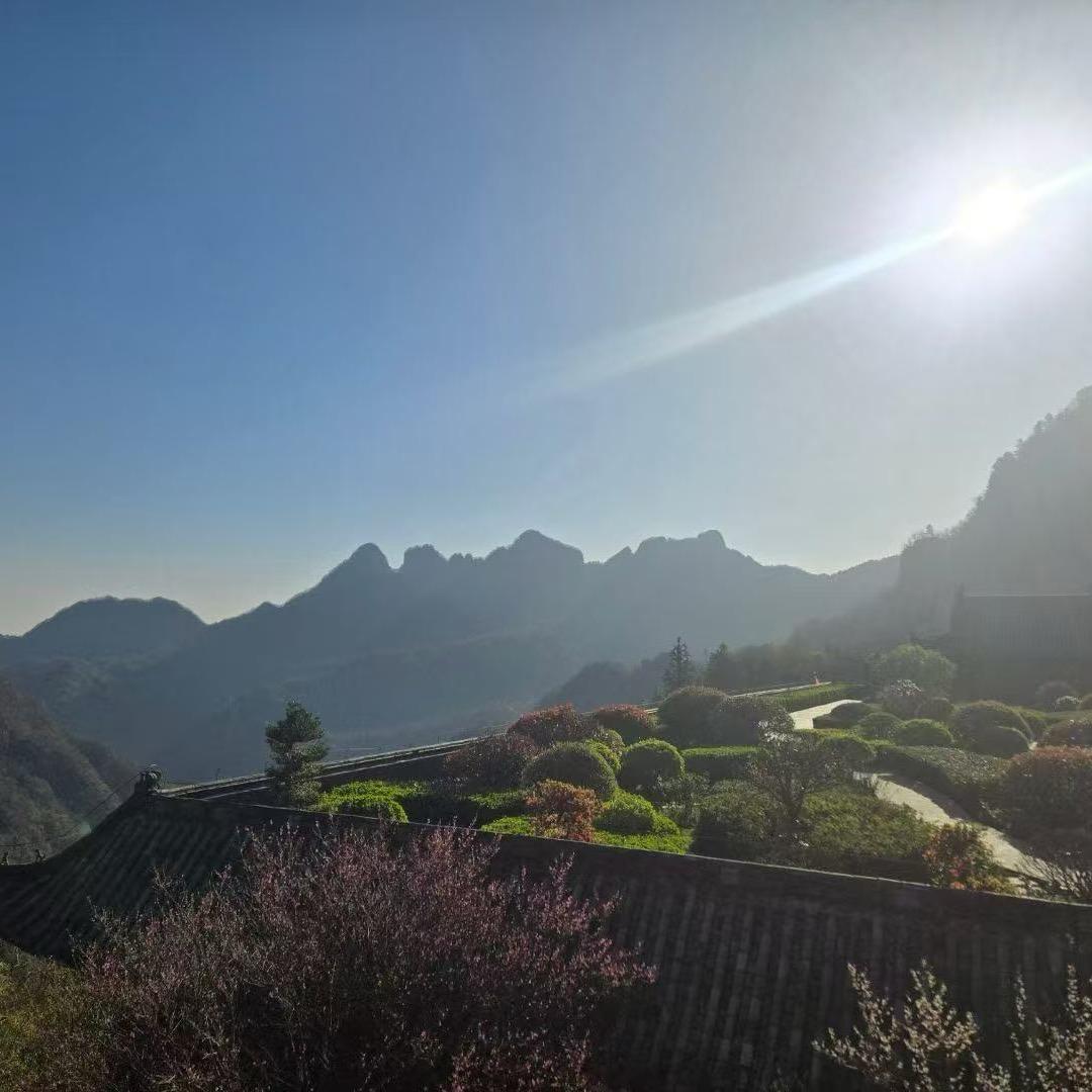 观山栩