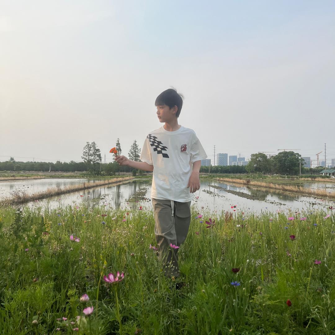 小叶菇凉