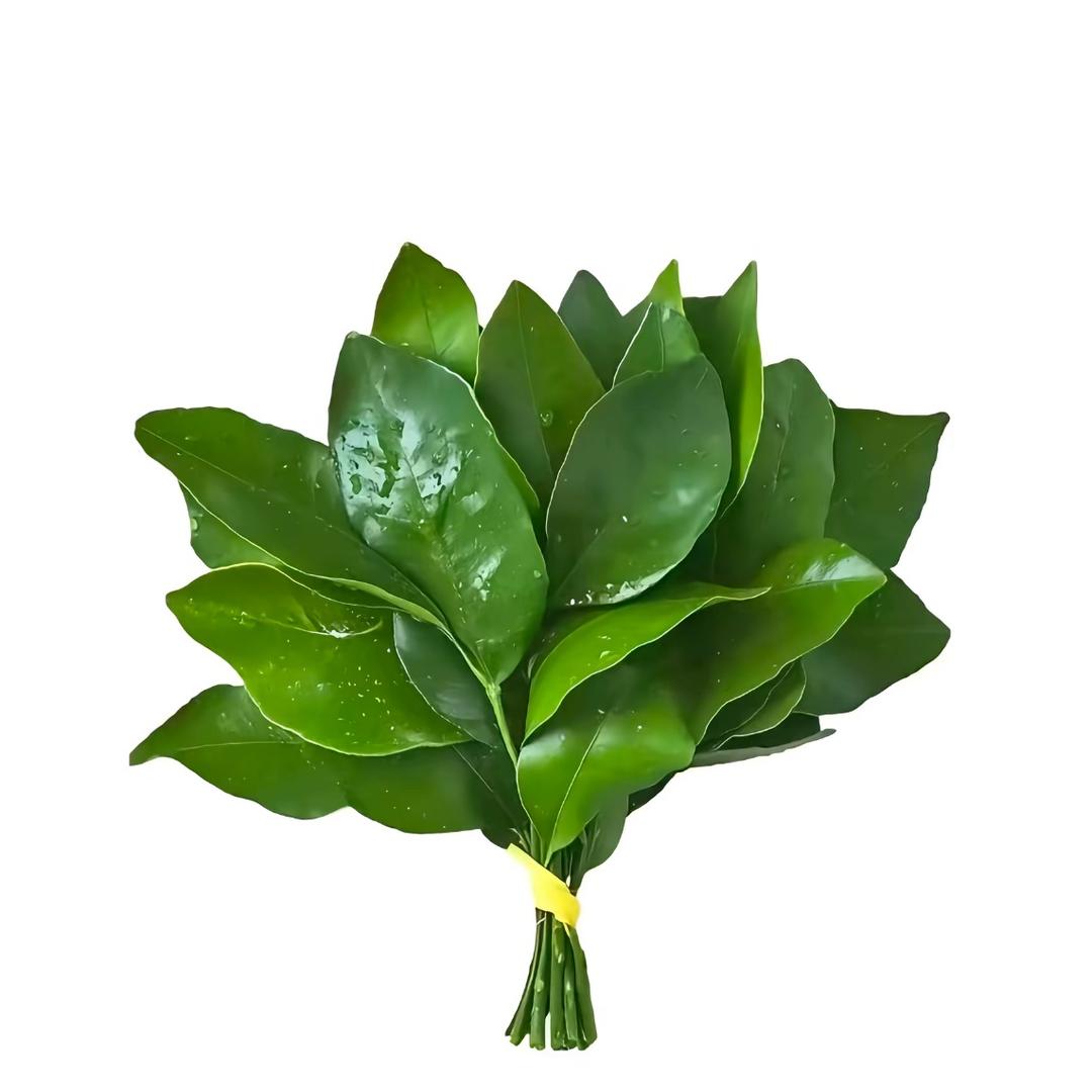 尤晞.