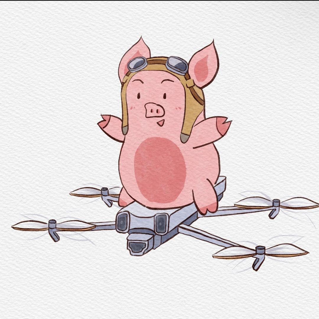 无人机吊运～小洙