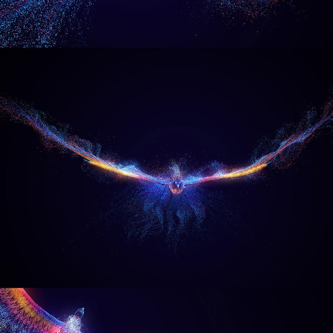 七彩炫光皮皮虾