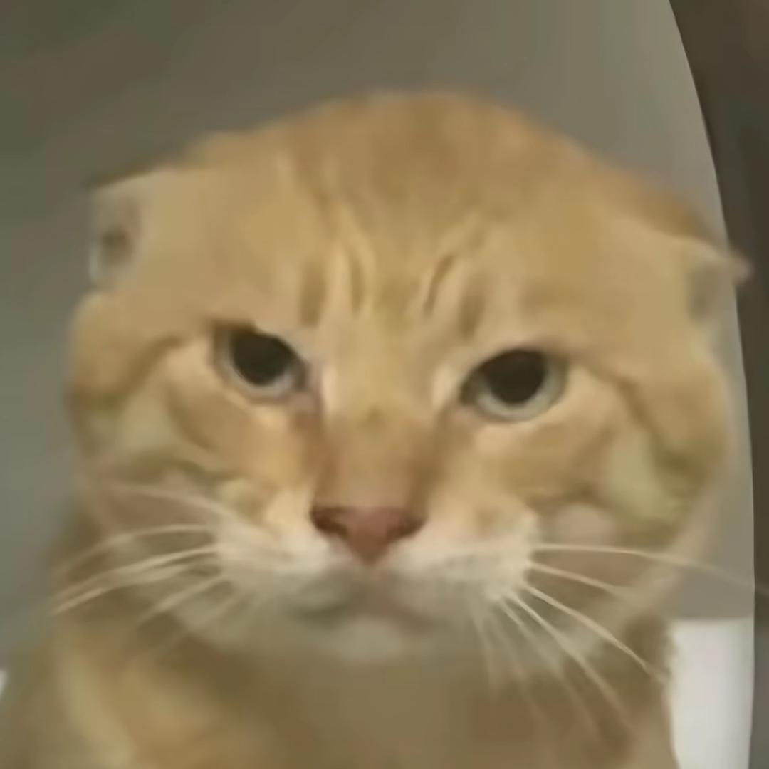 不想休息