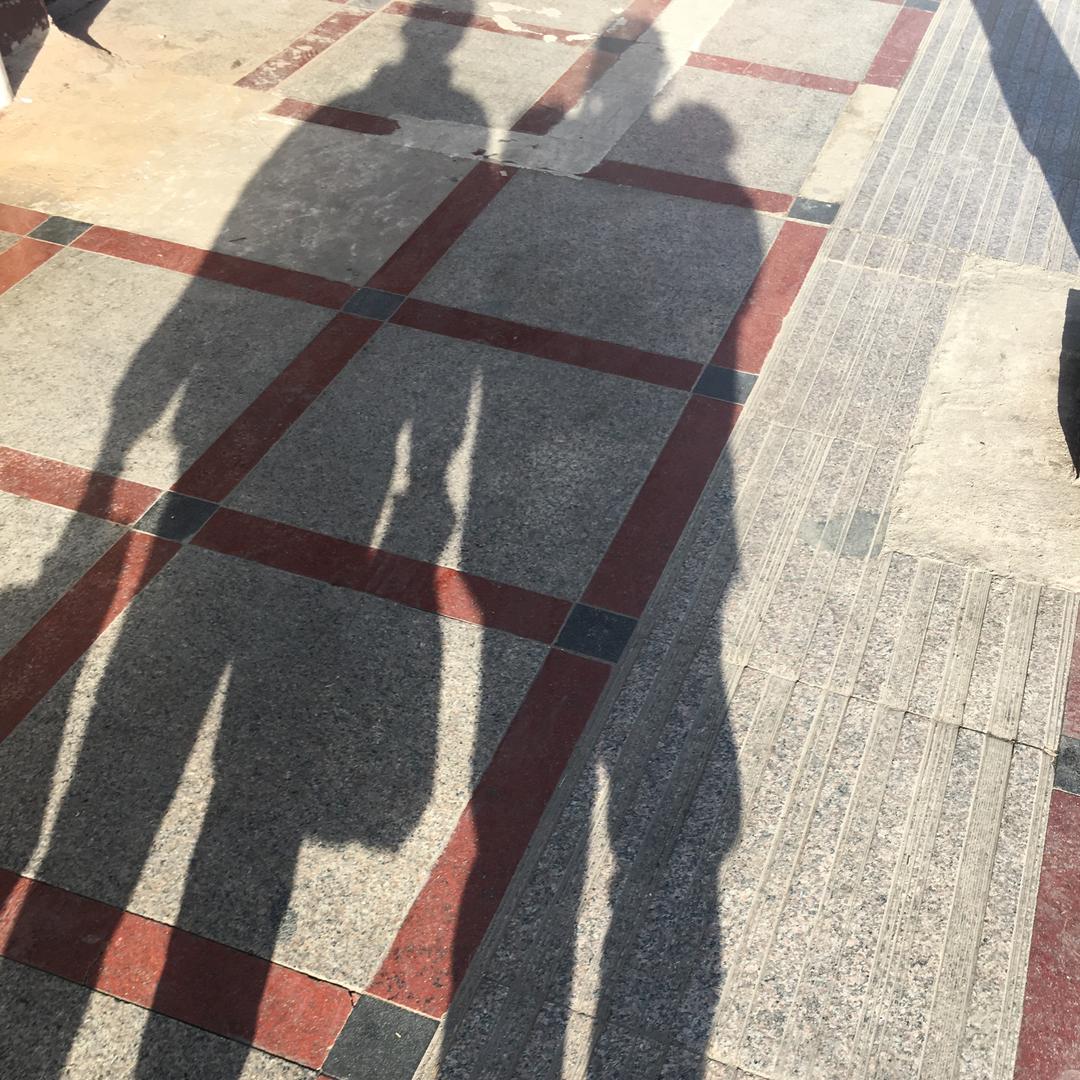 金贝