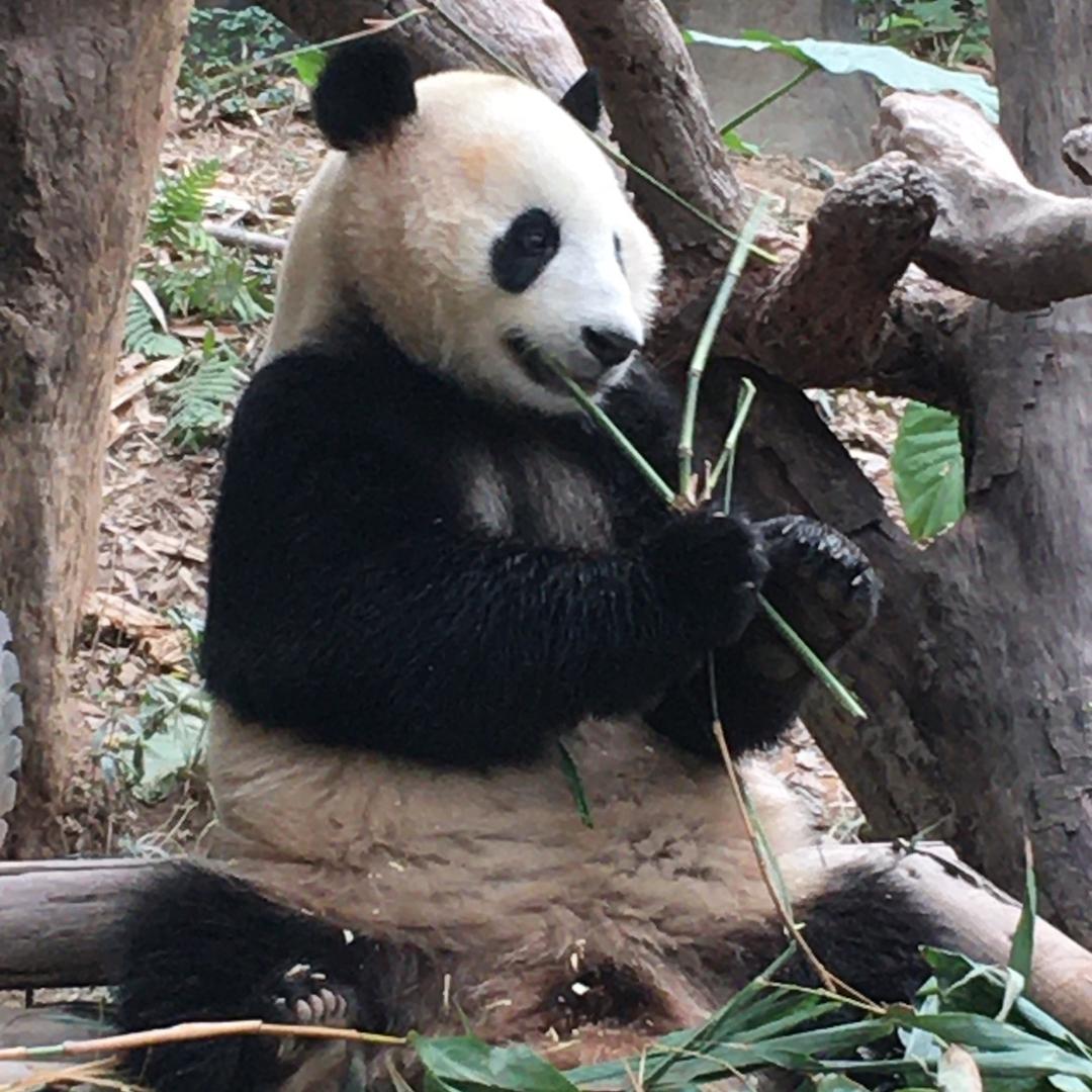 我爱暖暖