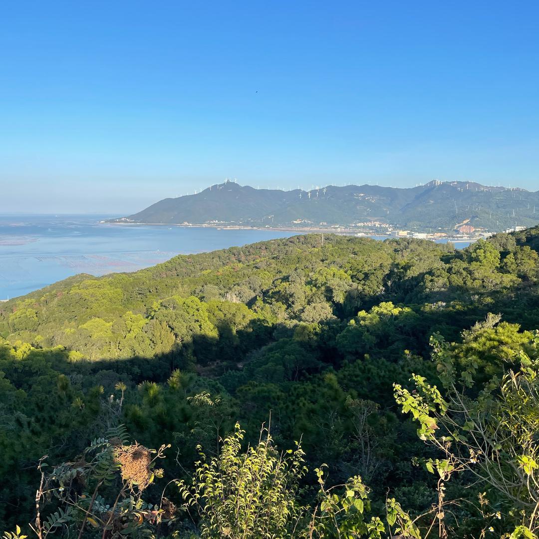 小李李
