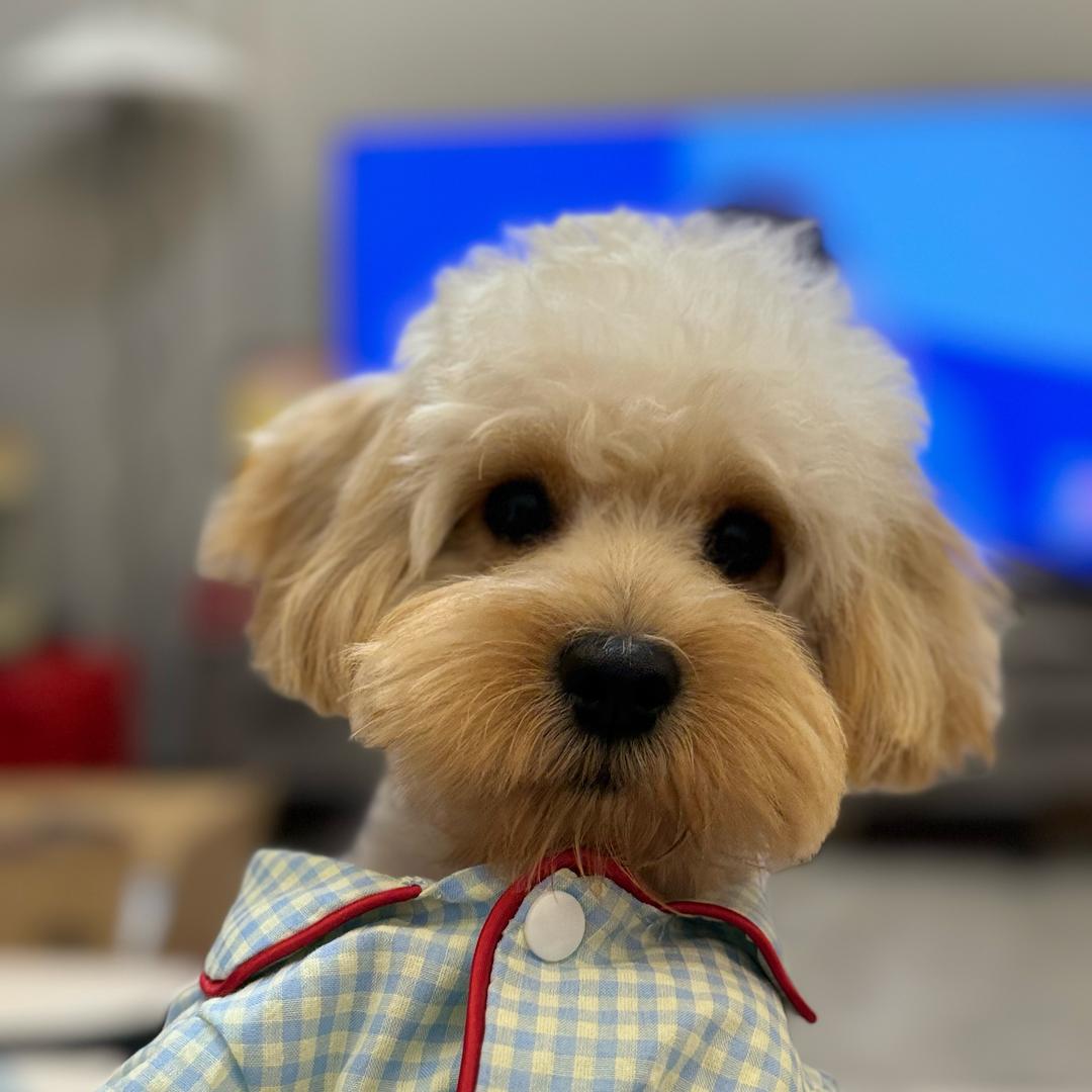 Arthur