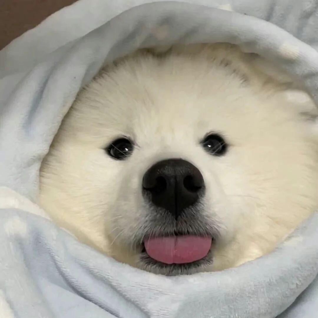 你今天睡醒了吗？