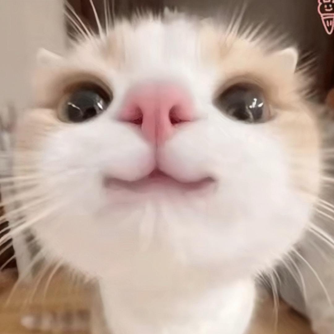90后单亲妈妈Kiki_